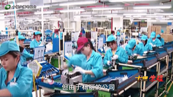 創業是一條無比艱辛的路，創新更是無限風光在險峰。在男性為主導的商海里，女性創業創新需要鼓足十萬分的勇氣和力量，是挑戰未來成功的小概率事件。而十堰姑娘楊麗便是這小概率事件中的一個傳奇，也是女性創業創新的榜樣。今天就來認識這位傳奇女性-興千田集團楊麗。