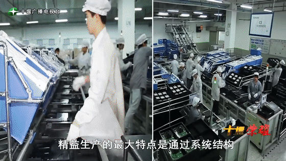 創業是一條無比艱辛的路，創新更是無限風光在險峰。在男性為主導的商海里，女性創業創新需要鼓足十萬分的勇氣和力量，是挑戰未來成功的小概率事件。而十堰姑娘楊麗便是這小概率事件中的一個傳奇，也是女性創業創新的榜樣。今天就來認識這位傳奇女性-興千田集團楊麗。