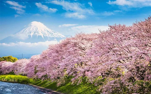 日本研修 日本研修