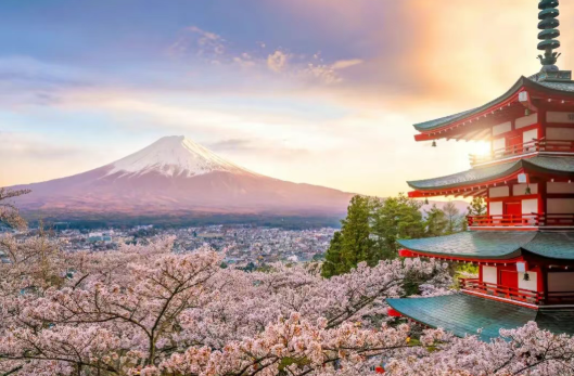 2025【精益生產(chǎn)+Karakuri 改善大會】一場關(guān)于“智慧”與“循環(huán)”的深度研學 2025【精益生產(chǎn)+Karakuri 改善大會】一場關(guān)于“智慧”與“循環(huán)”的深度研學